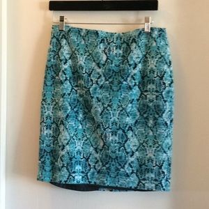 Stretchy Snake Skin Skirt